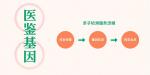 中山合法10家親子鑒定中心地址一覽(附2025年鑒定匯總)