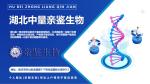 黃岡可以做親子鑒定的機(jī)構(gòu)大全（附2025年鑒定中心地址）