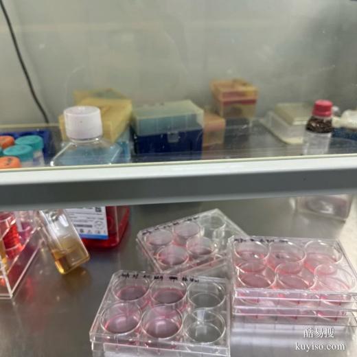 金華親子鑒定所需材料全解析：個(gè)人、司法類型一目了然