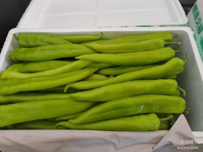 廈門綠鮮達蔬菜配送