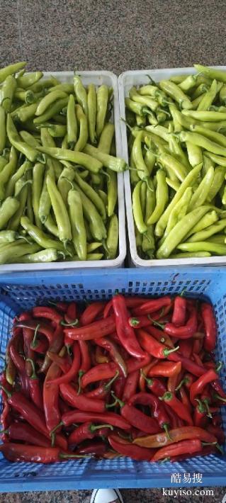 廈門綠鮮達蔬菜配送