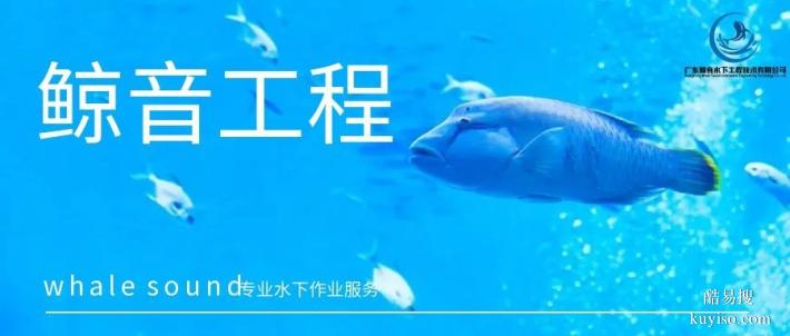 高埗鎮(zhèn)本地水下貴重物品打撈中心地址盤點（2026年費用明細）