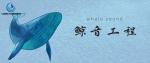潮南區(qū)權(quán)威水下貴重物品打撈中心機構(gòu)一覽（2026年收費明細）