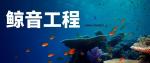 東鳳鎮(zhèn)水下貴重物品打撈中心地址名單一覽（2026年全新報價）
