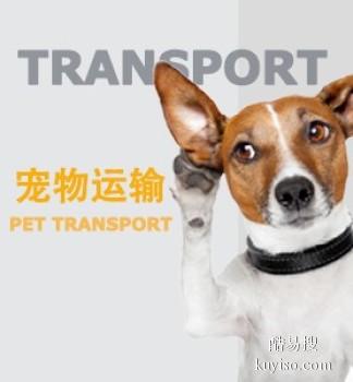 无锡托运宠物到滁州专业宠物托运业务