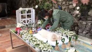 淮北春节正常工作的宠物火化公司,淮北宠物殡葬服务