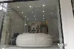 东莞茶山动物尸体 火葬猫咪火化