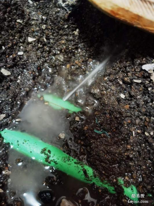 铸铁消防管漏水检测  PE供水管漏水检测