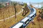 湖南电动看楼车，客户摆渡车