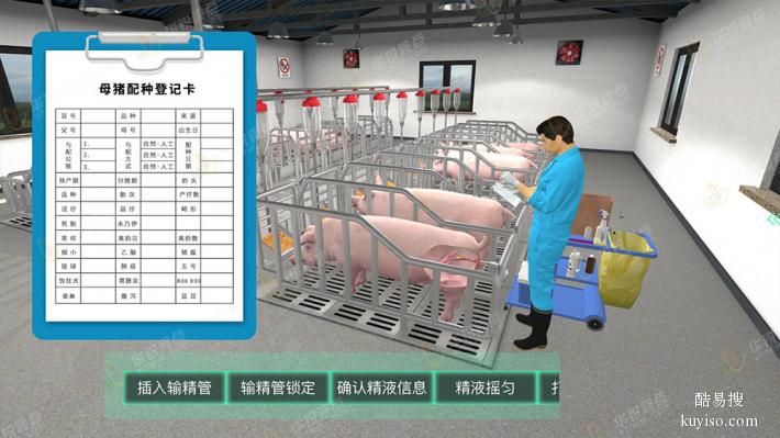 VR生猪检疫_猪养殖虚拟仿真_VR教学软件制作_广州华锐互动