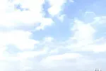 王炸干锅：新鲜现炒，味道才好，让创业加盟变更轻松,项目咨询中