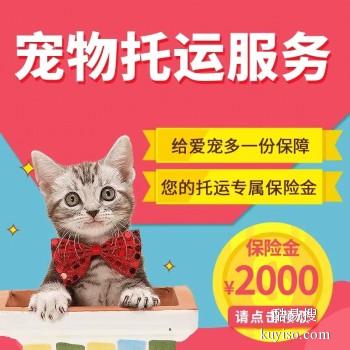 淮北宠物托运公司2023年可发全国各宠物专车直达