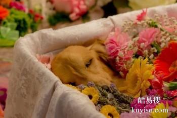 银川宠物埋葬 宠物纪念馆 宠宝服务联系方式