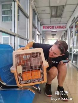 贵阳机场恒翔 宠物寄养 宠物托运 代办手续 上门接送