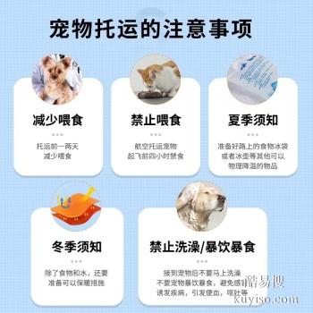 平顶山郏县专业猫狗托运 上门接送 宠物托运至全国