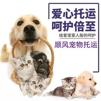 盱眙县专业猫狗托运 上门接送 宠物托运至全国