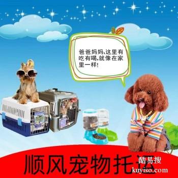 信阳新县宠物托运 猫狗活体运输邮寄 上门接送