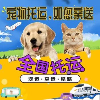 扬州江都 宠物托运猫狗活体运输扬州江都周边上门取宠