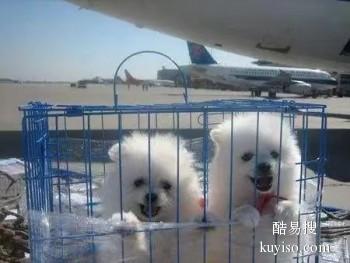 惠州龙门飞鹅宠物托运可提供上门接送服务