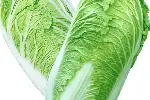 西安新鲜蔬菜供应，西安食材供应商