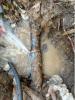 滁州南谯园区消防管道漏水检测 自来水管漏水探测维修
