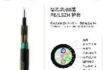 室外光缆GYFTZY-16B1光缆货期快