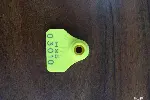 北京昌平橡胶制品激光雕刻，动物耳标激光雕刻