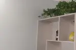 成都青白江区房屋墙面粉刷刮腻子翻新电话师傅店铺