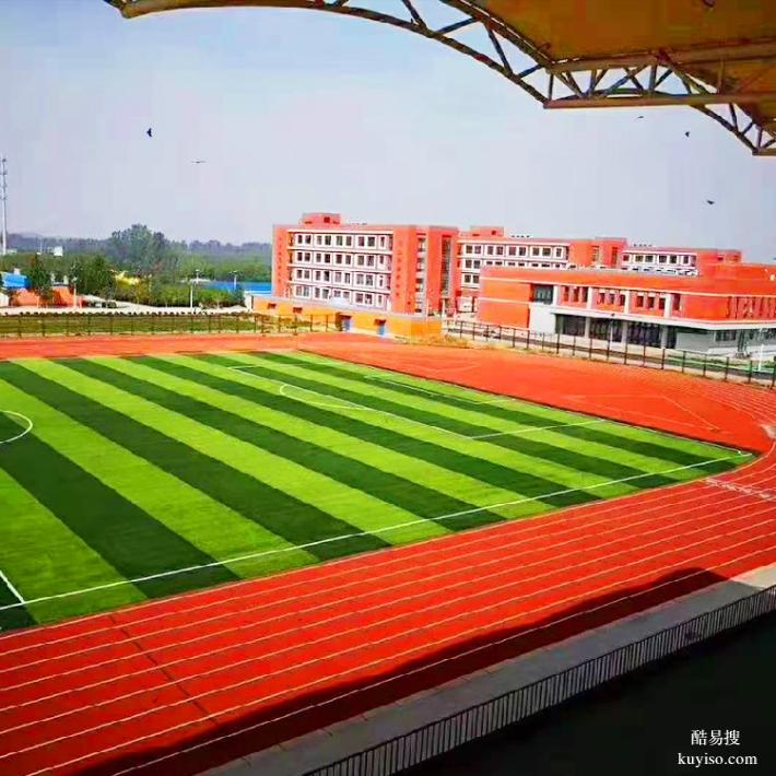天津人造草坪足球场高标准施工