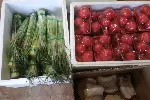 郑州无公害蔬菜箱礼品蔬菜