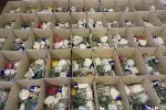 郑州年货蔬菜春节礼品箱