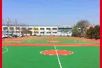 东光县供应EPDM塑胶,厂家现货-透气混合型