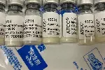 浙江ATCC标准菌株厂家,ATCC25756标准菌株