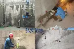 深圳南山防水补漏公司 正规防水补漏公司-弘实防水值得信赖