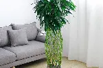 北京室内花卉租摆绿植租摆公司