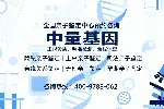 新城亲子鉴定收费标准和医院地址整理附26年12家鉴定地址