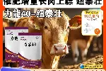 肉牛速效催肥纽泰壮-包被胍基乙酸报价肉牛体型好
