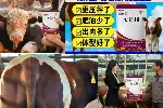 肉牛催肥添加剂肉牛催肥饲料肉牛去油塑型